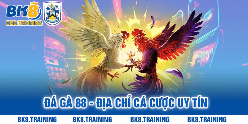 Đá gà 88 - Địa chỉ cá cược uy tín và hấp dẫn hàng đầu châu Á