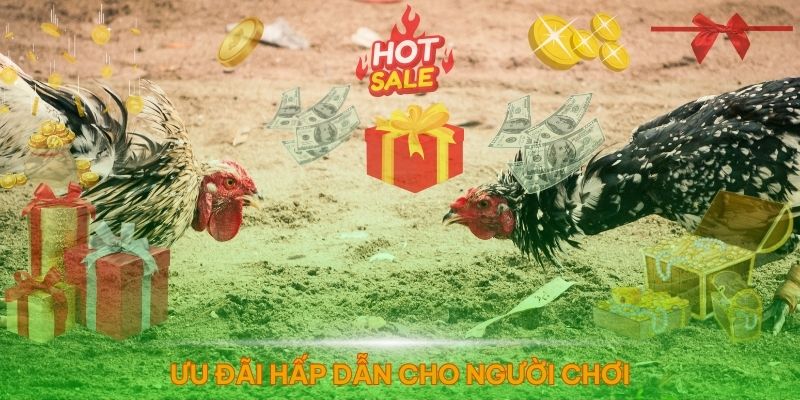 Nhiều ưu đãi hấp dẫn dành cho mọi người chơi