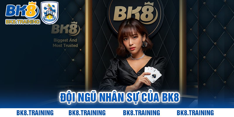 Đội ngũ nhân sự của BK8 luôn có mặt bất cứ khi nào cần