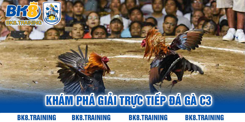 Khám phá giải trực tiếp đá gà C3 siêu hấp dẫn